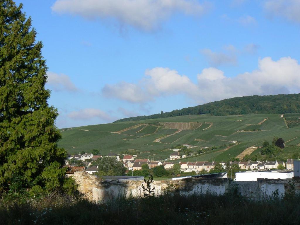 Épernay Comfort Suites & Vacanceole Les Demeures Champenoises מראה חיצוני תמונה